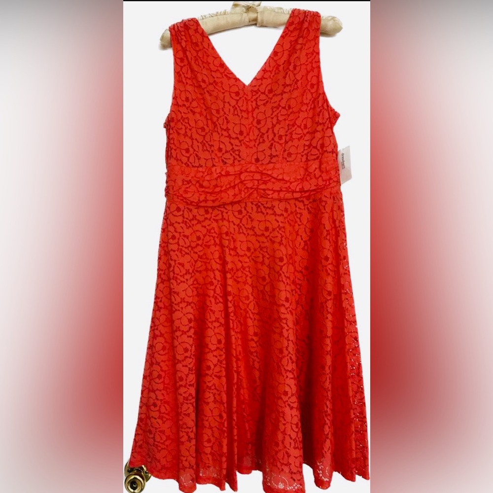 🛍️Dressbarn, Size 10P, Orange